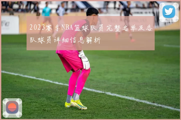 2023赛季NBA篮球队员完整名单及各队球员详细信息解析
